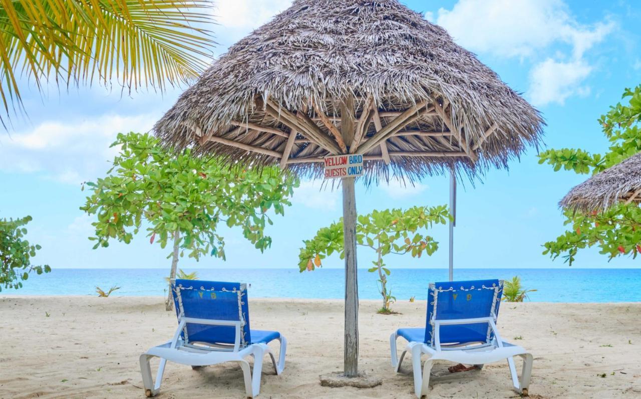 Yellow Bird Sea Negril Dış mekan fotoğraf