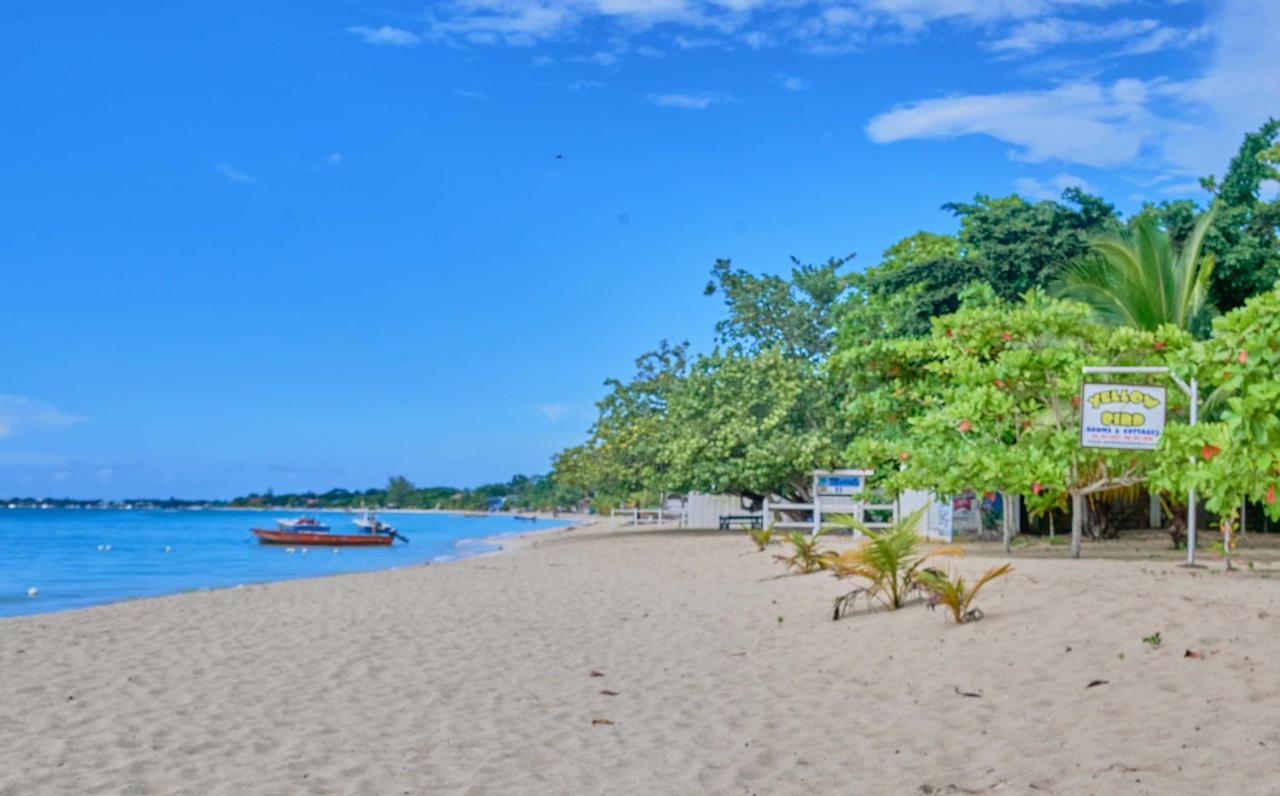 Yellow Bird Sea Negril Dış mekan fotoğraf
